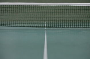 开云体育app-瑞典乒乓球队轻取法国乒乓球队，水谷隼惊艳世界